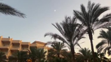 Gün batımında gökyüzü açık olan palmiye ağaçlarının manzarası ve Mısır 'da modern otel mimarisi. Tropikal palmiye ağaçları olan otel, Hurghada, Mısır. 