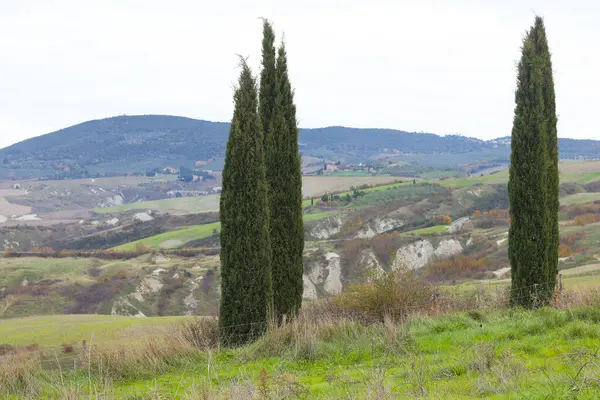 Yuvarlanan tepeleri, selvi ağaçlarını ve bulutlu bir gökyüzünün altındaki uzak köyleri olan pitoresk bir Toskana manzarası. Alanlar çeşitli toprak tonlarını sergiliyor, sakin ve zamansız bir kırsal manzara yaratıyor..