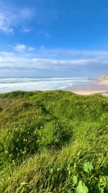 Okyanus dalgaları Praia de Paredes da Vitria 'nın kumlu kıyılarına çarpar ve arka planda kayalık kayalıklar vardır. Parıldayan su ve kıyı esintisi. Yeşil çimenler ve sarı çiçekler manzarayı çerçeveliyor.