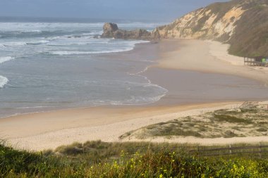 Okyanus dalgaları Praia de Paredes da Vitria 'nın kumlu kıyılarına çarpar ve arka planda kayalık kayalıklar vardır. Parıldayan su ve kıyı esintisi. Yeşil çimenler ve sarı çiçekler manzarayı çerçeveliyor.