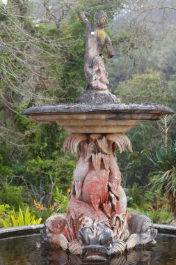 Sintra, Portekiz - 22 Şubat 2025: Monserrate Parkı 'ndaki süslü çeşme. Deniz yaratıklarının heykelleriyle süslenmiş ve yeşilliklerle çevrili romantik bahçe tasarımı ve sanatsal ayrıntıları yansıtıyor.