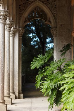 Portekiz, Sintra 'daki Monserrate Sarayı' nın süslü taş sütunları ve kemerleri yemyeşil yeşillik ve yumuşak ışıkla huzurlu, romantik ve egzotik bir mimari sahne yaratıyor..