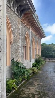Portekiz, Sintra 'daki Monserrate Sarayı' nın yan görüntüsü. Kemerli pencereler, karmaşık detaylar, yemyeşil bir yol, ve yosunlu bir doğa manzarası yaratmak.