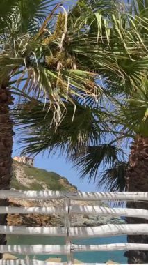 Girit, Lygaria 'daki palmiye ağaçları arasından güneşli sahil manzarası. Kristal berrak su, kayalık sahil ve açık mavi gökyüzü altında tropikal titreşimler..