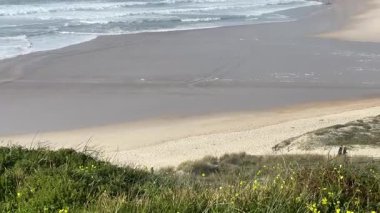 Okyanus dalgaları Praia de Paredes da Vitria 'nın kumlu kıyılarına çarpar ve arka planda kayalık kayalıklar vardır. Parıldayan su ve kıyı esintisi. Yeşil çimenler ve sarı çiçekler manzarayı çerçeveliyor.