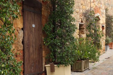 Monteriggioni, İtalya 'da bir taşra duvarı. Etrafı yemyeşil çiçeklerle çevrili ahşap bir kapı. Büyüleyici ve tarihi bir atmosferi çağrıştırıyor..