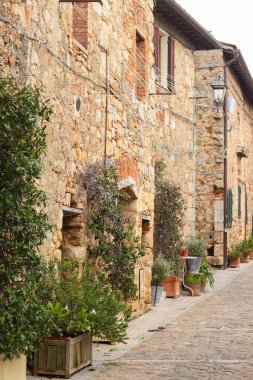 Monteriggioni, İtalya 'da bir taşra duvarı. Etrafı yemyeşil çiçeklerle çevrili ahşap bir kapı. Büyüleyici ve tarihi bir atmosferi çağrıştırıyor..