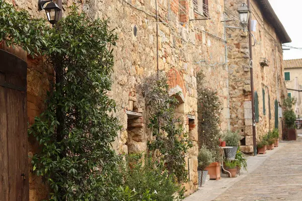 Monteriggioni, İtalya 'da bir taşra duvarı. Etrafı yemyeşil çiçeklerle çevrili ahşap bir kapı. Büyüleyici ve tarihi bir atmosferi çağrıştırıyor..