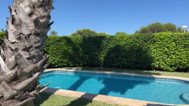 Açık havada yüzme havuzu yemyeşil çitler ve palmiye ağaçları ile çevrili açık mavi sularda, parlak güneşli bir gökyüzünün altında gölgeler bırakıyorlar..