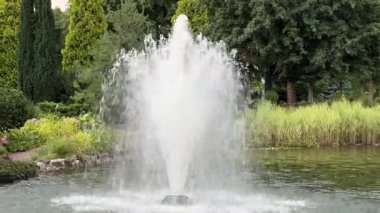 Arka planda bulutlu bir gökyüzü olan yemyeşil yemyeşil bir gölün içindeki bir çeşmenin yer aldığı sakin bir park sahnesi. Huzurlu atmosfer doğal güzelliği vurgular..