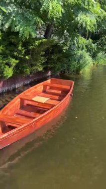 Yeşil bitki ve ağaçların yanında durgun nehir suyunda yüzen ahşap kayık. Güneş ışığındaki yansımalarla huzurlu bir yaz manzarası..