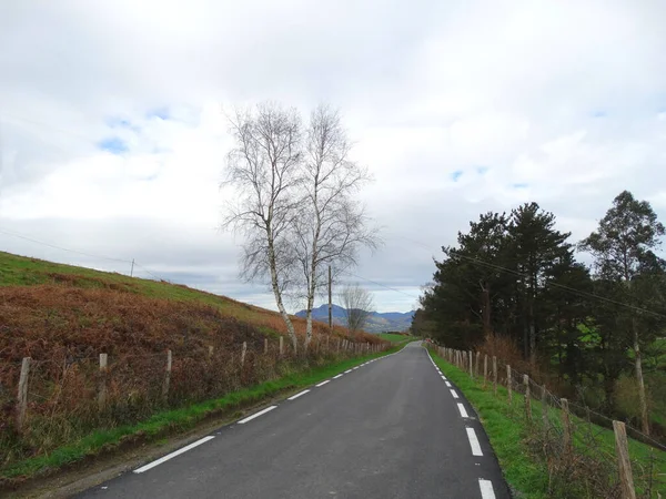 Alla Scoperta Dei Paesi Baschi Sentiero Nella Montagna Igeldo San — Foto Stock