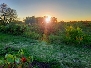 Günbatımı Sonbahar Castilla La Mancha Doğa Manzarası İspanya 