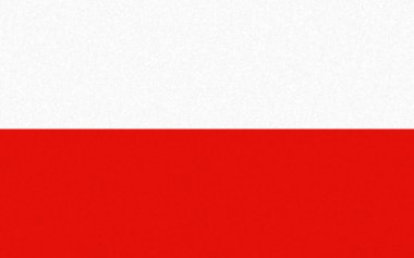 Kağıt desenli duvar zeminli Polonya bayrağı. Vektör illüstrasyonu 