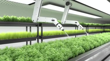 3D Motion Graphics, Smart robotic farmers with plants in greenhouse 
