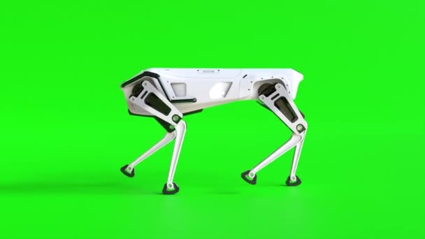 Video Looping Een Robot Hond Een Groen Scherm — Stockvideo