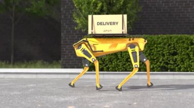 Robot köpek teslimatı kavramı
