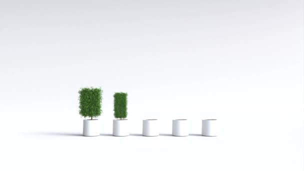 Bar Chart Made Trees — Stock Video