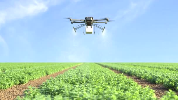Drone Sproeien Meststof Maïsvelden Boerderij Automatisering Technologie — Stockvideo