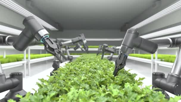 Agricoltori Robotici Intelligenti Che Lavorano Nella Serra — Video Stock