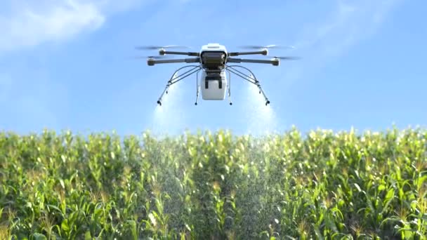 Fertilizante Pulverización Drones Campos Maíz Tecnología Automatización Agrícola — Vídeos de Stock