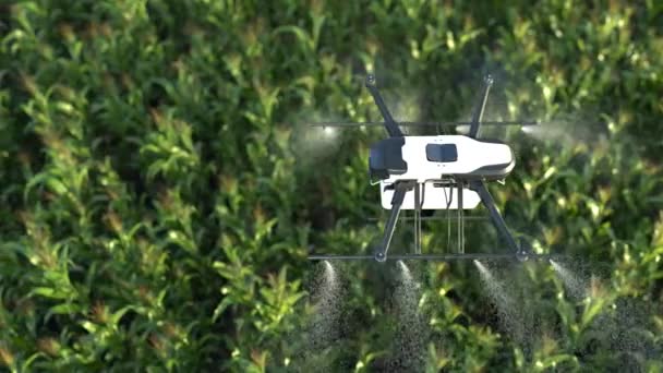 Drone Sproeien Meststof Maïsvelden Boerderij Automatisering Technologie — Stockvideo