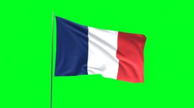 Yeşil arka planda Fransa bayrağı, bayrak döngüsü videosu