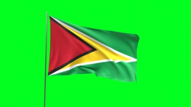 Yeşil arkaplanda Guyana bayrağı, bayrak döngüsü videosu
