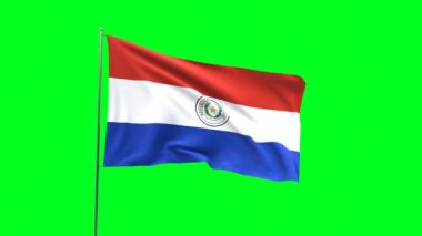 Yeşil arkaplanda Paraguay bayrağı, bayrak döngüsü videosu