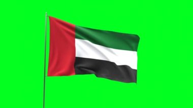 Yeşil arkaplanda Birleşik Arap Emirlikleri bayrağı, bayrak döngüsü videosu