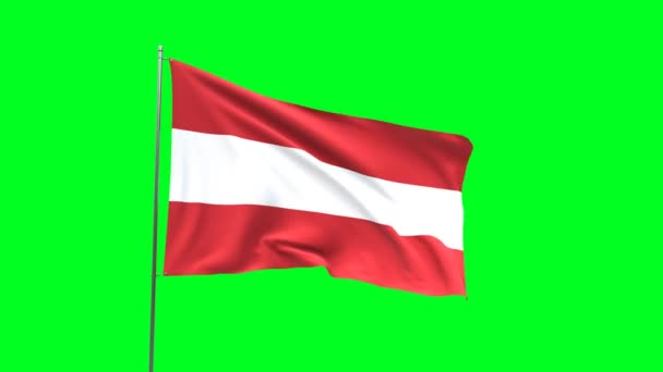 Σημαία Της Αυστρίας Πράσινο Φόντο Σημαία Looping Βίντεο — Αρχείο Βίντεο