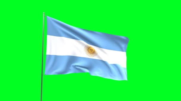 Flagga Argentina Grön Bakgrund Flagga Looping Video — Stockvideo