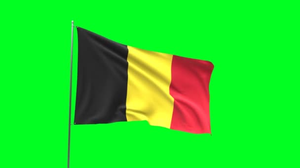 Yeşil Arkaplanda Belçika Bayrağı Bayrak Döngüsü Videosu — Stok video