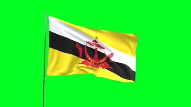 Bandera Brunei Sobre Fondo Verde Bandera Looping Video — Vídeo de stock