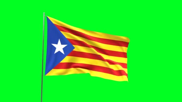 Flagge Kataloniens Auf Grünem Hintergrund Fahnenschleifen Video — Stockvideo