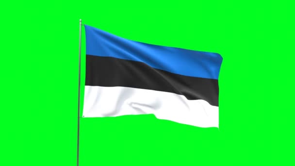 Térkép Estonia Green Background Zászló Looping Video — Stock videók