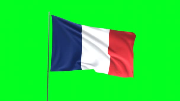 Yeşil Arka Planda Fransa Bayrağı Bayrak Döngüsü Videosu — Stok video