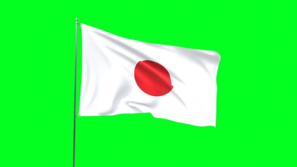 Flaga Japonia Zielonym Tle Flaga Pętli Wideo — Wideo stockowe
