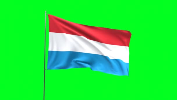 Bandera Luxemburgo Sobre Fondo Verde Bandera Looping Video — Vídeo de stock