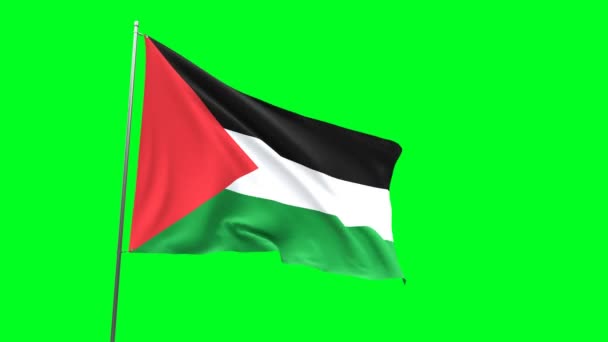 Bandera Palestina Sobre Fondo Verde Bandera Looping Video — Vídeo de stock
