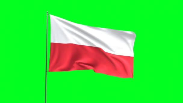 Bendera Polandia Pada Latar Belakang Hijau Video Pengulangan Bendera — Stok Video