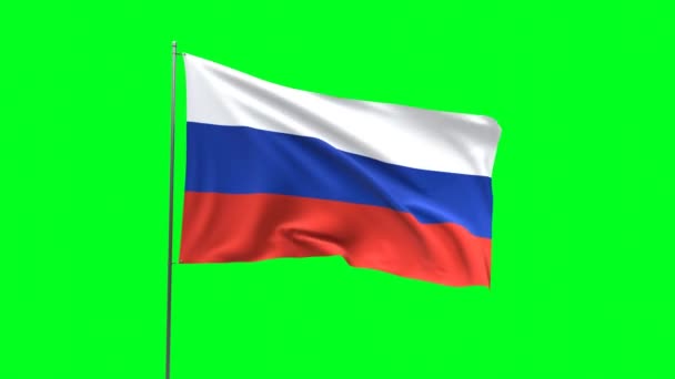緑の背景にロシアの旗 フラッグループビデオ — ストック動画
