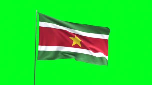 Yeşil Arkaplanda Surinam Bayrağı Bayrak Döngüsü Videosu — Stok video