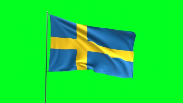 Flagga Sverige Grön Bakgrund Flagga Looping Video — Stockvideo