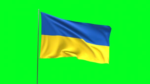 Bandiera Dell Ucraina Sfondo Verde Bandiera Loop Video — Video Stock