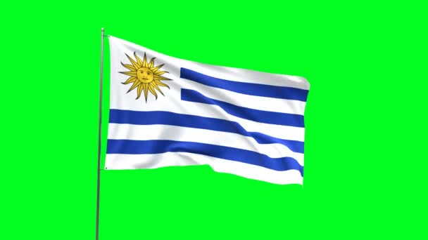 緑の背景にウルグアイの旗 フラッグループビデオ — ストック動画