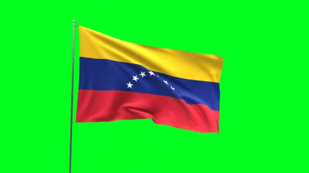 Vlag Van Venezuela Groene Achtergrond Vlag Lussen Video — Stockvideo
