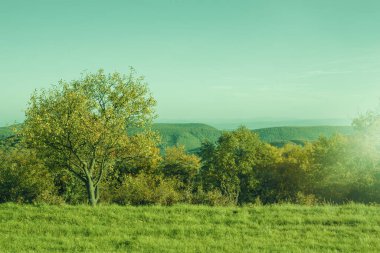 Sonbahar mevsiminde kırsal tepe manzarası. Yüksek kalite fotoğraf