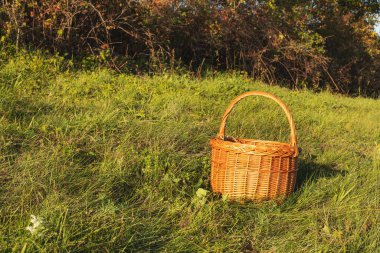 Yeşil çayırda hasır sepet. Sonbaharda güneşli bir gün. Yüksek kalite fotoğraf