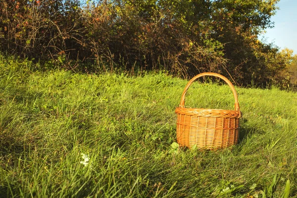 緑の草原のウィッカーバスケット 秋の晴れた日 高品質の写真 — ストック写真